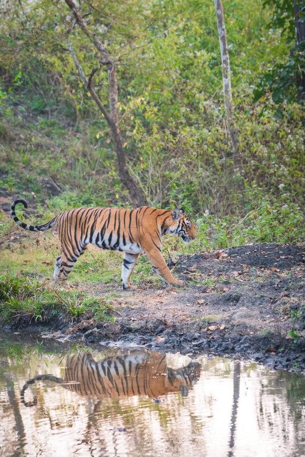 Kaav Safari Lodge, Kabini Begūr Екстериор снимка