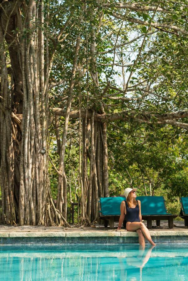 Kaav Safari Lodge, Kabini Begūr Екстериор снимка