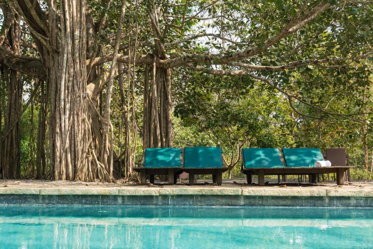 Kaav Safari Lodge, Kabini Begūr Екстериор снимка