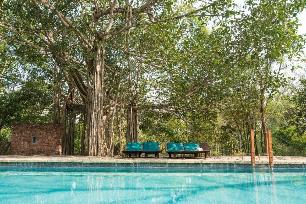 Kaav Safari Lodge, Kabini Begūr Екстериор снимка