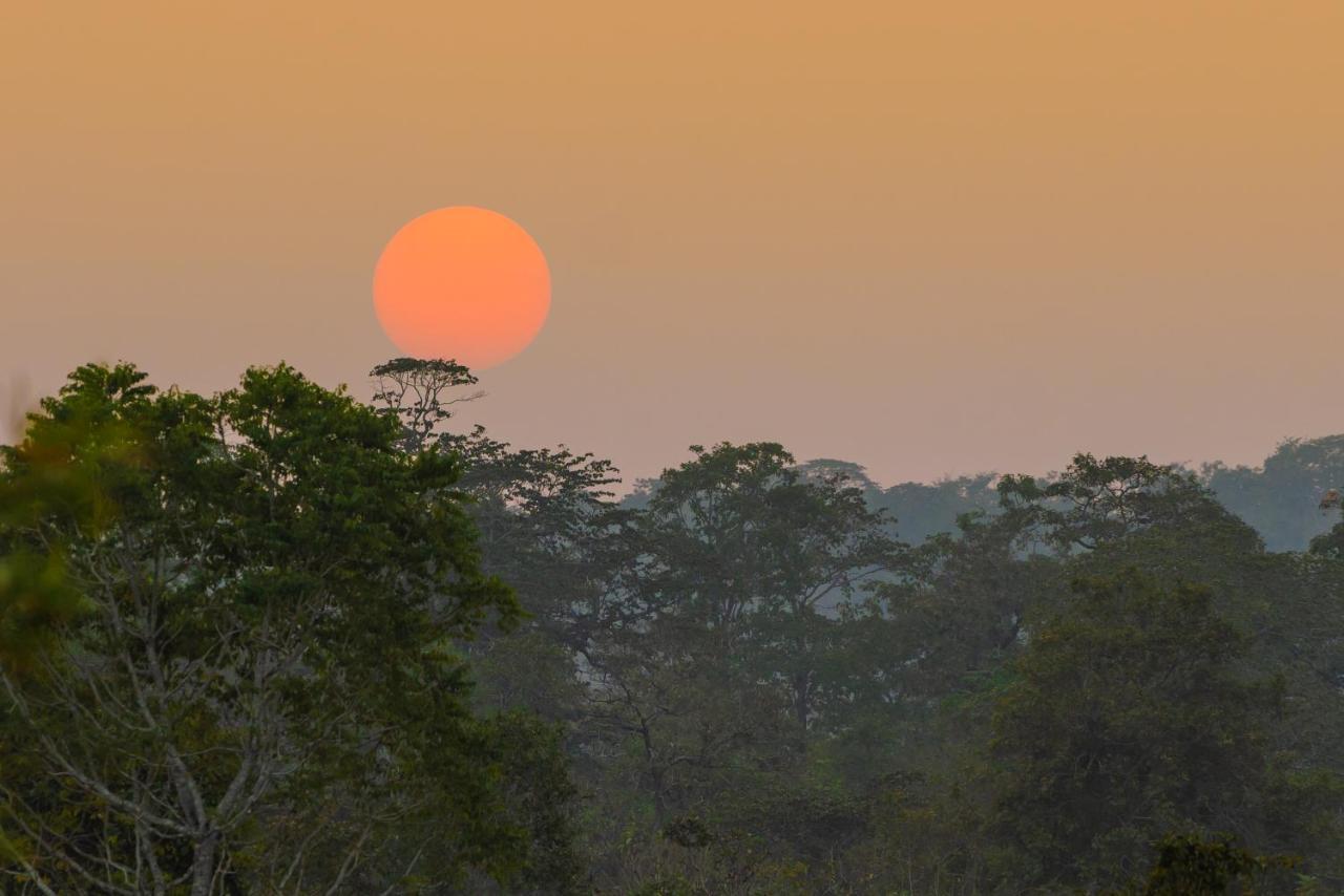 Kaav Safari Lodge, Kabini Begūr Екстериор снимка